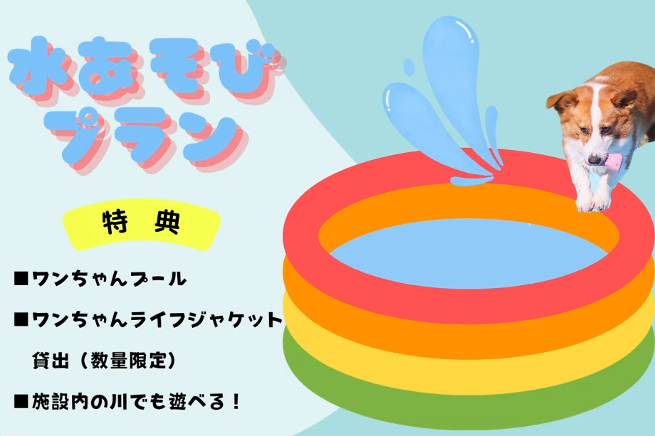 ◆◇特典付き!◆◇ワンちゃん水遊びプラン【素泊まり】 ◆◇特典付き!◆◇ワンちゃん水遊びプラン【素泊まり】