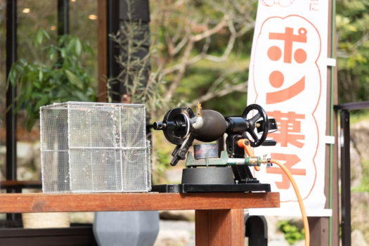 【最大15％OFF！初夏だけの特別体験】≪Early Summer Sale≫ 夏前がおトク！初夏の青々とした緑に包まれながら四季のアクティビティを楽しむ！お得な夏先取りプラン～ホタル鑑賞、魚つかみ取り、ジップラインetc