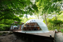 FOREST- Mid-Century-4張床