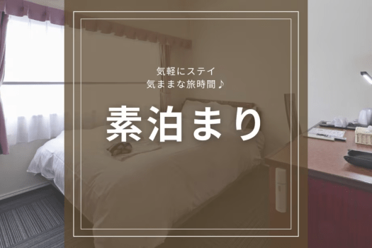 【スタンダード】ビジネス＆鹿児島観光の拠点に！鹿児島中央駅西口徒歩3分でアクセス良好♪＜素泊まり＞