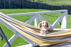 【ワンちゃん同伴OK】ドッグラン付きダブルテントサイト(2家族や大人数向け)