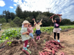 【5月13日～11月30日までのご予約】野菜の収穫体験・BBQ・焚火・空中アスレチックまるごと楽しむお得なAll Inclusiveプラン《1泊2食付き》