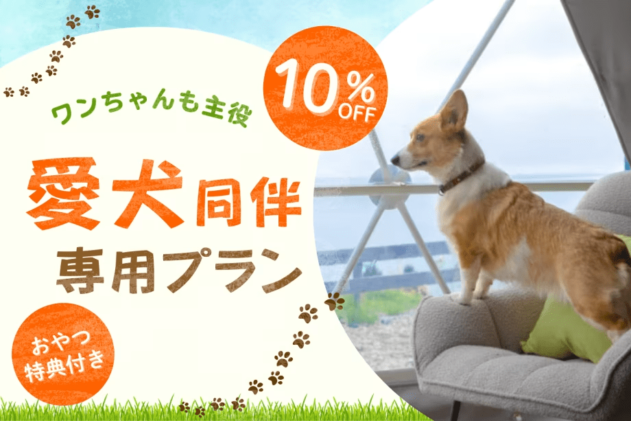 ■ワンちゃんも主役🐾■＜愛犬同伴専用プラン＞「10％OFF」＆ワンちゃんおやつ特典付き！広い空と海のオーシャンビューステイ