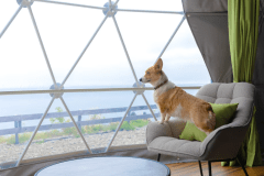 Site ‘’A‘’ ≪プライベートドッグラン付き ・2ベッド≫