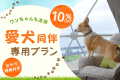 ■ワンちゃんも主役🐾■＜愛犬同伴専用プラン＞「10％OFF」＆ワンちゃんおやつ特典付き！広い空と海のオーシャンビューステイ