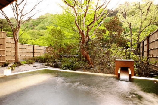 【庭園・露天風呂付和室】畳の本間と広縁、縁側には日本庭園を独占できる露天風呂付