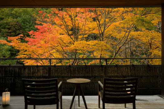 美しく色づく木々が一面に広がる景色は、まさに絶景。