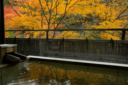 この季節ならではの景色を楽しむ露天風呂。秋は鮮やかな紅葉がお楽しみいただけます。