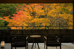 美しく色づく木々が一面に広がる景色は、まさに絶景。 美しく色づく木々が一面に広がる景色は、まさに絶景。