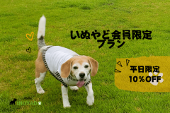 【いぬやど会員限定】平日10％OFFでお得にワン旅🐾愛犬と一緒にフリーステイ～自然の中でゆったりと過ごすプライベートアウトドア～