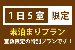 ★1日5部屋限定★大浴場改修工事期間限定＜素泊まりプラン＞