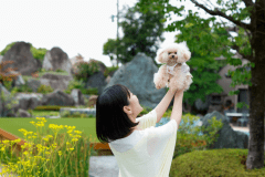 【愛犬と過ごす】おひとり様温泉ステイ