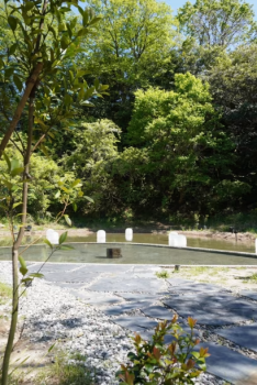 【日帰り温泉】～源泉かけ流し温泉日帰り入浴プラン～