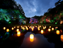 Glamping Surrounded by Forests [no meals. stay only]