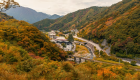 The Yamanashi Autumn Family Bond (w/ ¥10,000 Gift)
