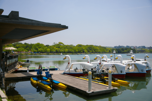 【大濠公園】徒歩約10分にある大濠公園ではボートの貸出もございます。