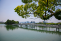 【大濠公園】自然豊かな大濠公園まで徒歩約5分