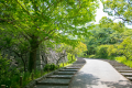 【福岡城内】四季折々の植物を楽しめます♪