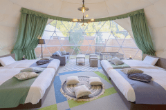 【わんちゃん可】ドッグドーム