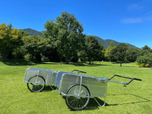 フリーサイト【1日限定13組】