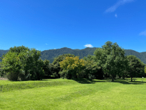 フリーサイト【1日限定13組】