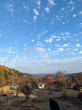 日帰り下段オートサイト