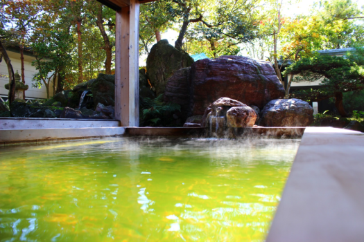 日高石庭の湯