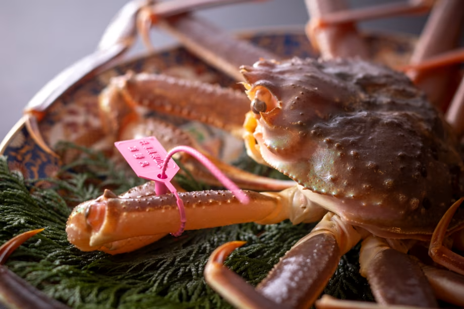 【冬のお料理】日本海・冬の味覚の王様「活松葉ガニ」を様々な食べ方でご賞味ください。