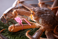 【冬のお料理】日本海・冬の味覚の王様「活松葉ガニ」を様々な食べ方でご賞味ください。