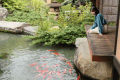 お部屋から錦鯉に餌やり体験付き♪かげつおススメ基本プラン☆