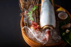 【朝獲れイカ】コリコリ食感の白イカの旨味を味わう！