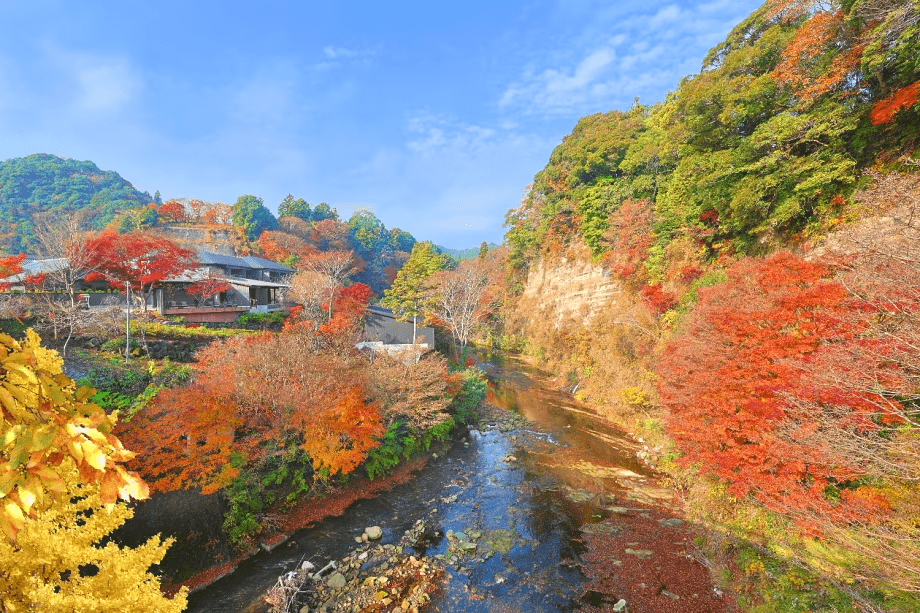 秋のSHINRA YORO VALLEY