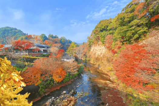 秋のSHINRA YORO VALLEY