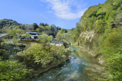 ゆったりひとり旅　全室温泉露天風呂付き客室1泊２食付き