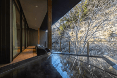 リバースケープルーム