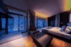 プレミアムリバースケープルーム