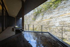 プレミアムリバースケープルーム