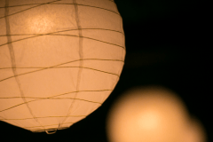 【館内施設】奈良時代から受け継がれる烏山和紙。その風合いが、明かりも温かなものへと変えていきます。