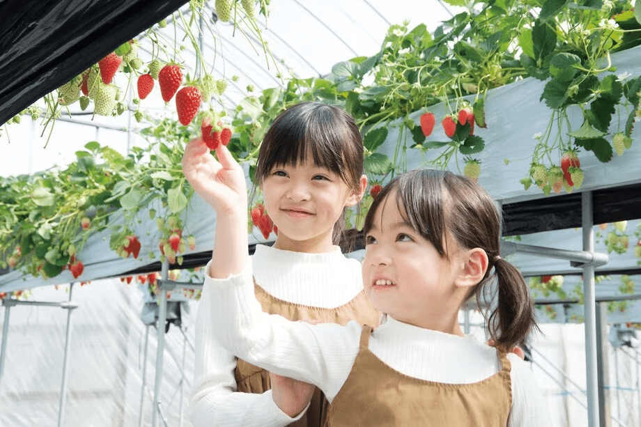 浜名湖畔でいちご狩り体験♪アグリス浜名湖いちご狩り体験付／朝食付宿泊プラン（1月・2月）