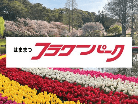 【はままつフラワーパーク】車で約30分。桜とチューリップ（3月下旬～4月中旬が見ごろ）
