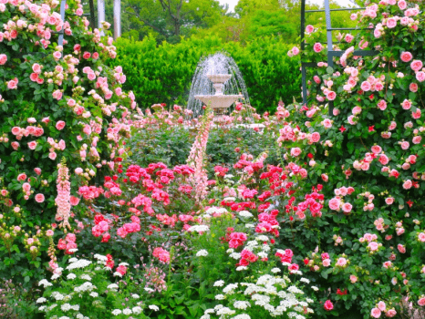 【浜名湖花フェスタ】はままつフラワーパーク入場券付ご宿泊プラン／朝食付宿泊プラン