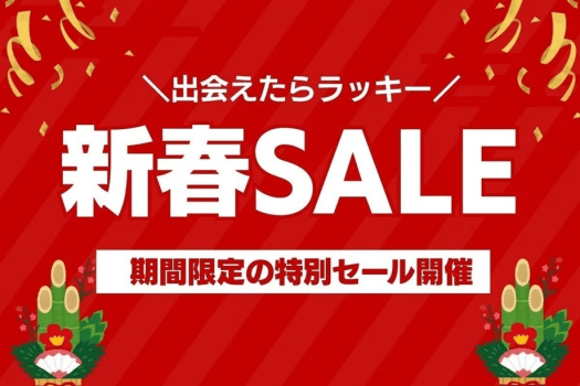 【新春SALE】＜無料駐車場＞平面駐車場だから入出庫が楽々◆スタンダードプラン／素泊まり宿泊プラン