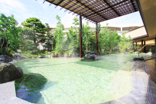 【夏休み】プール＆遊園地入場券付バイキングご宿泊プラン