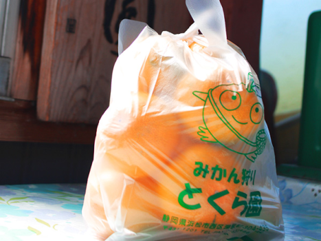【みかん食べ放題＆お土産付き】みかん狩り付きバイキングご宿泊プラン