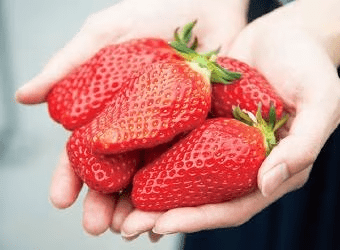 ≪3/1～3/31≫いちご狩り体験付きバイキングご宿泊プラン