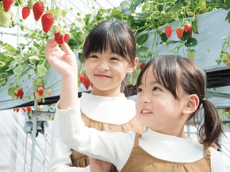 ≪3/1～3/31≫いちご狩り体験付きバイキングご宿泊プラン