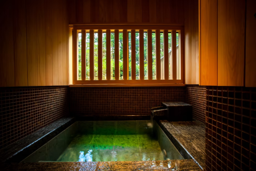 山桜 -YAMAZAKURA-
