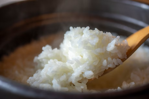 朝食（一例）
