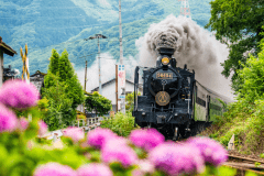 大正時代生まれの蒸気機関車"ハチロク"が、ついに人吉市に帰ってきました！