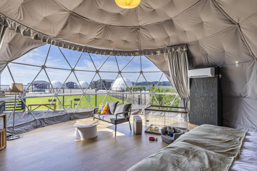 Dog SPA Garden≪2床房型・附狗跑區≫